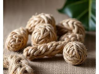 Biodegradable pet toys